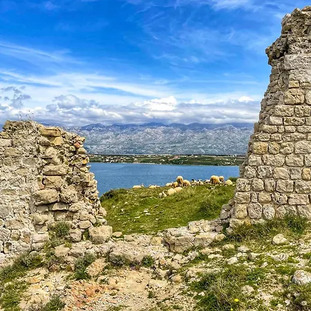 Апартаменты 2